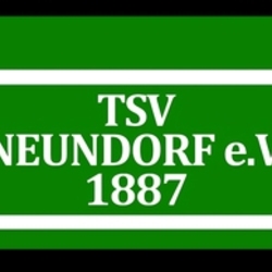Logo TSV 1887 Neundorf